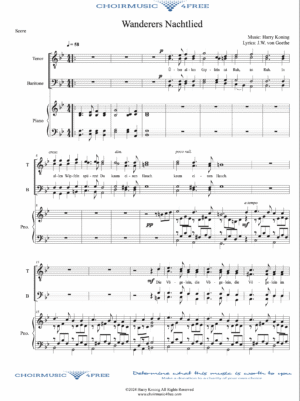 Wanderers Nachtlied